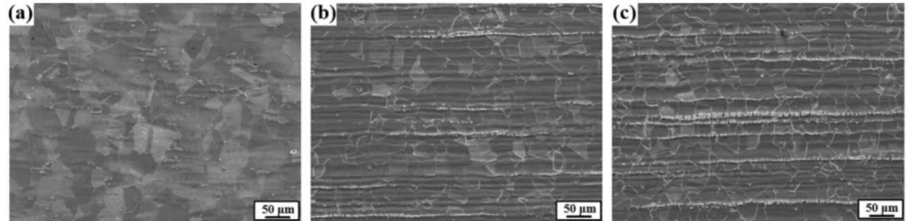 Fig. 1  Microstructures  of  three  tested  samples:  (a)  PP  1,  (b)  PP  2,  and  (c)  PP  3.