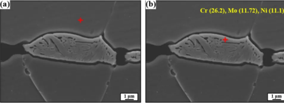 Fig. 3  Observation  of  the  σ  phase,  etched  selectively,  in  the  three  tested  samples:  (a)  PP  1,  (b)  PP  2,  and  (c)  PP  3.