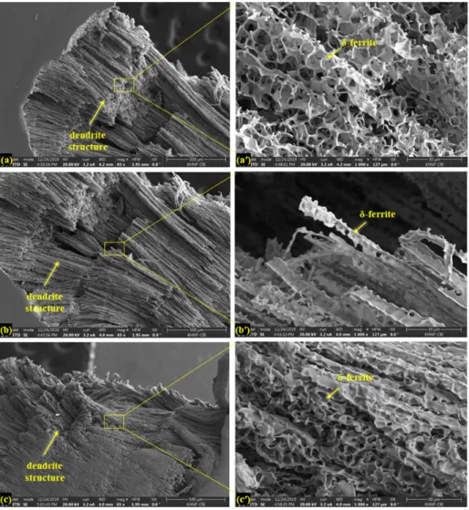 Fig. 7  Chemical  composition  of  corroded  part  using  EDS.