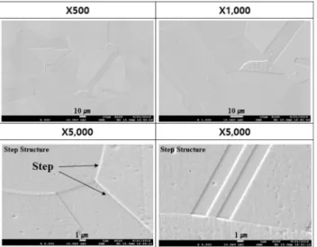 Fig.  7  FE  SEM  microstructures  of  the  base  metal  in  F316  austenitic  stainless  steel  welds  etched  with  10  wt%  oxalic  acid  according to  ASTM  A262-practice  A.