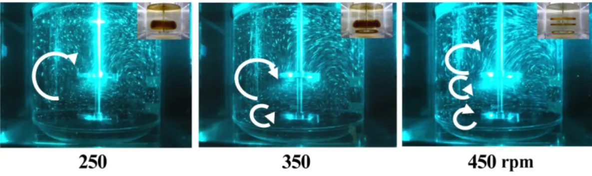 Fig. 6. Visualization of flow pattern (Dimensionless agitation time = 750, Viscosity = 0.4 Pa·s, Density = 1337 kg/m 3 ).
