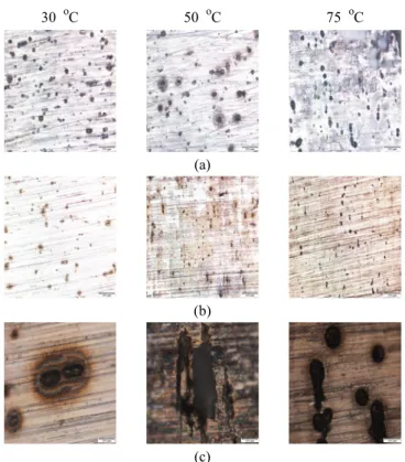 Fig.  7b  shows  the  galvanic  coupled  AA7075T6  specimen  with  CFRP  (OM,  x100)  the  shape  of  pits  was  changed,  and  Fig