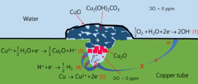 Fig.  8  Cuprous  particles  (Cu 2 O)  formed  inside  a  corrosion  pit of  a  sprinkler  copper  tube.