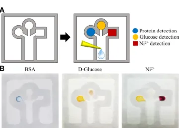 Fig. 5. The PAD for a multiplexed assay including protein, glucose, and Ni 2+ . (A) Schematic diagram of PAD operation