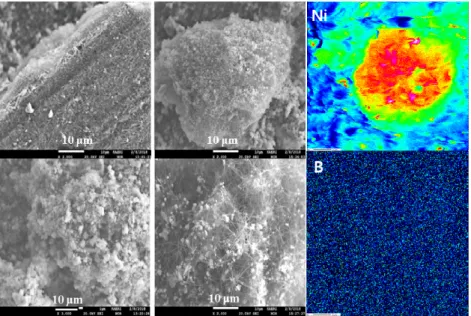 Fig. 4  PWSCC  fracture  profile  of  steam  generator  tube  plug  (hot  leg)  and  x-ray  image  mapping  of  boron  according  to  fracture position  from  plant-B