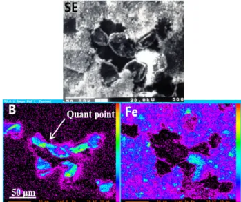 Fig.  7  SEM  of  a  crud  flake  sampled  with  ultrasonic  cleaner  in  an  AOA  PWR  plant-C