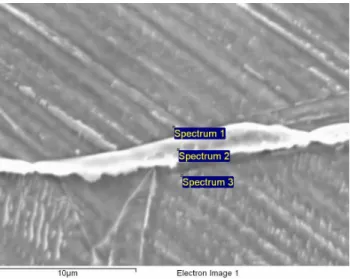 Fig. 11  SEM  image  after  EPR  test  for  AR  sensitized  at  700  °C (a)  0  h  (b)  4  hrs  (c)  48  hrs  (d)  96  hrs.