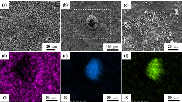 Fig. 5  SEM  and  EDS  analysis  result  on  surface  of  the  2.25Cr-1Mo  specimens  exposed  to  different  coating  for  500  hours:  (a) as-received,  (b)  K 2 SO 4 ,  (c)  KCl,  (d-f)  chemical  element  distribution  for  white  box  in  Fig  5