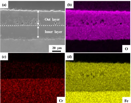 Fig.  6  SEM  and  EDS  analysis  result  on  cross-section  of  the  2.25Cr-1Mo  specimen  exposed  for  500  hours:  (a)  SEM  image,  (b-d) Chemical  element  distribution.