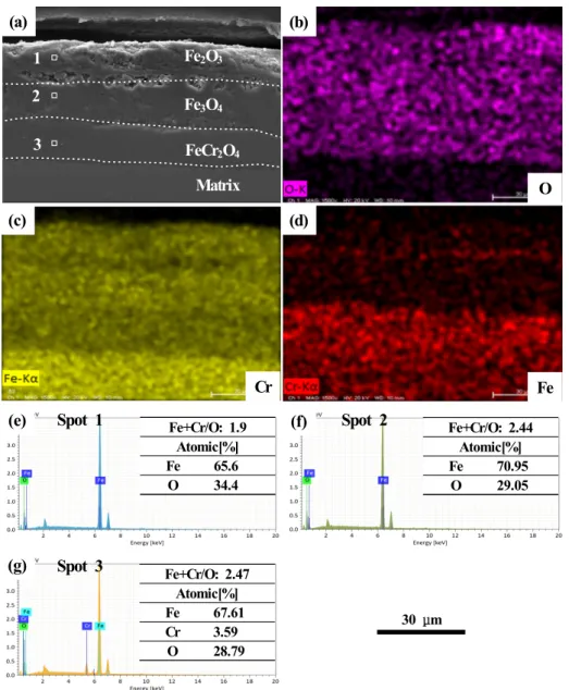 Fig. 8  SEM  and  EDS  analysis  result  on  cross-section  of  the  2.25Cr-1Mo  specimen  exposed  to  K 2 SO 4   during  500  hours:  (a)  SEM image,  (b-d)  chemical  element  distribution  for  Fig