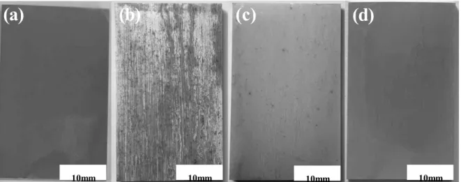 Fig.  5b  shows  the  surface  morphology  on  Mg  alloy  in  the  0.01  M  NaOH  +  0.01  M  NaCl  after  immersion  test  for  96  hours
