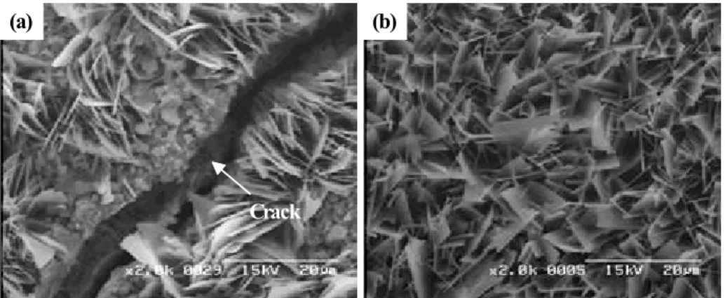 Fig.  5  Surface  morphologies  of  T22  and  T92  steel  in  6O 2 -16CO 2 -2SO 2   gas  at  650  °C  for  500  h;  (a)  T22,  (b)  T92