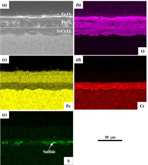 Fig.  7  Elements  distribution  of  on  cross-section  of  the  T92  steel  in  6O 2 -16CO 2 -2SO 2   gas  at  650  °C  for  500  h:  (a)  SEM  image,  (b-e)  element  maps.