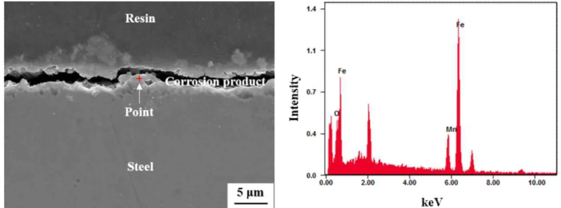 Fig.  9  Cross-section  observation  and  EDS  analysis  of  corrosion  product  formed  on  3.0Cu  after  6  weeks  immersion  in  a  3.5%  NaCl  solution  at  25  °C.