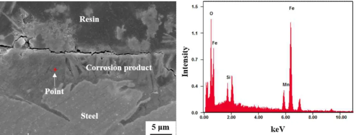 Fig.  12  EPMA  analysis  of  corrosion  products  formed  on  three  tested  specimens  after  immersion  test  in  a  3.5%  NaCl  solution  for  6  weeks  at  25  °C  :  (a)  3.0Cu,  (b)  3.0Al,  (c)  3.0Si