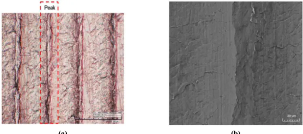 Fig.  12  Optical  micrograph  and  SEM  image  on  the  peak  area;  (a)  OM  (x600),  (b)  SEM  (x1200).