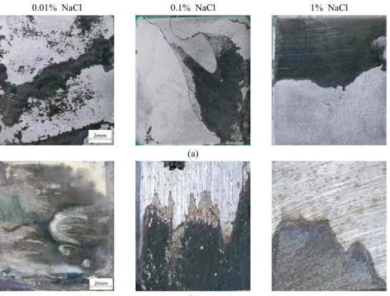 Fig.  6  Effect  of  NaCl  concentration  on  the  surface  appearance  of  A516Gr.55  after  the  corrosion  tests:  (a)  single  specimen  and  (b)  galvanic  coupled  specimen  with  CFRP  (Solution  temperature:  50  o C).