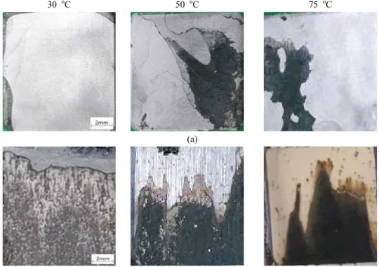 Fig.  10  Combination  between  cathodic  polarization  curve  of  CFRP  and  anodic  polarization  curve  of  A516Gr.55  in  deaerated  0.1%  NaCl  solution:  (a)  30  o C,  (b)  50  o C,  (c)  75  o C.