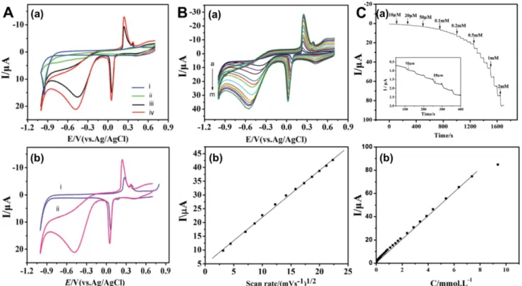 Fig. 8. (A): (a) CVs of the (i) bare gold electrode (GE), (ii) CS/GQDs/GE, (iii) CS/AgNCs/GE, and (iv) CS/GQDs/AgNCs/GE in 0.1 M pH 7.0 PBS containing 1 mM H 2 O 2 ; (b) CVs of CS/GQDs/AgNCs/GE in 0.1 M pH 7.0 PBS in the absence (a) and presence (b) of 1 m