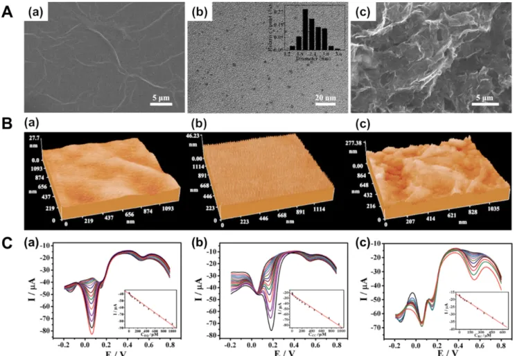 Fig. 4. (A) SEM images of (a) GO and (c) CD/rGO, TEM images of (b) CDs. Inset: size distribution of CDs