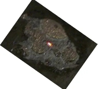 Fig.  3  The  outer  surface  of  the  sprinkler  copper  tube  which  leaked  after  being  filled  with  BTAH-water  solution  for  36  days.
