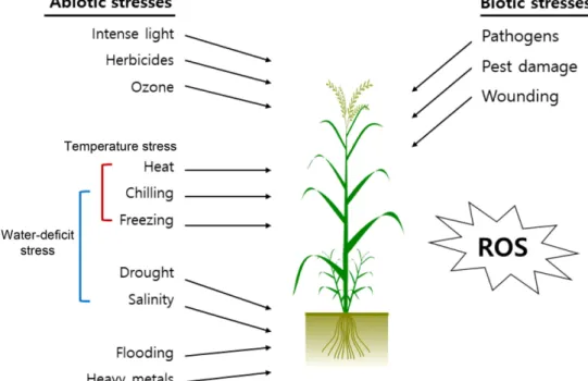 Fig. 1. Abiotic and biotic stresses in plants.