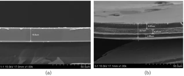 Fig. 1. SEM image of cross section of (a) single membrane (b) reinforced membrane.