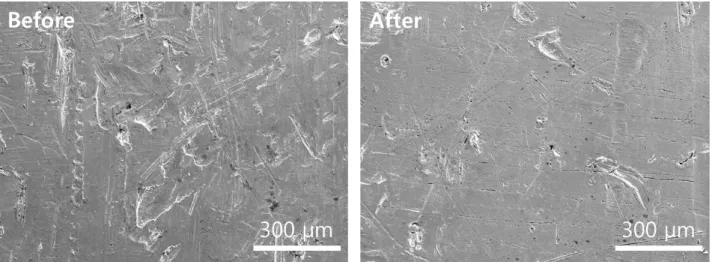 Fig.  7  Specimens  after  one  month  of  the  improved  accelerated  corrosion  test.