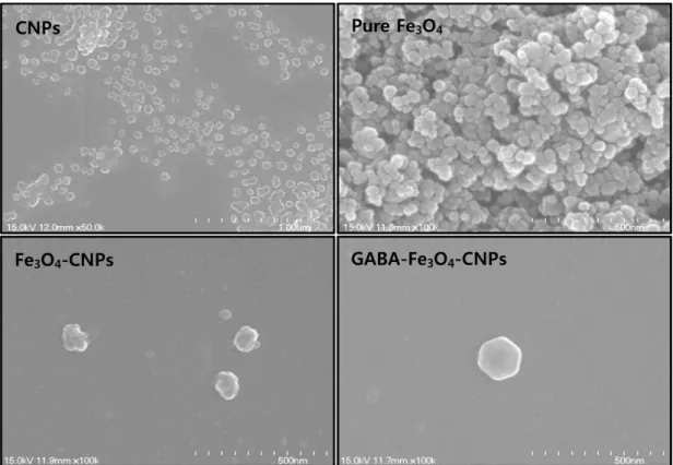 Fig. 2. SEM images of CNPs, Pure Fe 3 O 4 , Fe 3 O 4 -CNPs, GABA-Fe 3 O 4 -CNPs. 