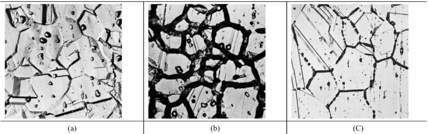 Fig.  11  Etched  structure  in  oxalic  acid  etch  test,  (a)  step  structure,  (b)  ditch  structure,  (C)  dual  structure(step+ditch).