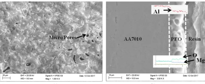 Fig.  2  SEM  micrographs  showing  the  surface  (a)  and  cross  section  morphology  (b)  of  the  PEO  coating  on  AA7010-T7452  alloy