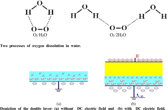 Fig.  5  Depiction  of  the  double  layer:  (a)  without    DC  electric  field  and    (b)  with    DC  electric  field.