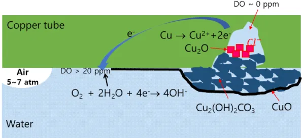 Fig.  5  Mechanism  of  pitting  corrosion  due  to  an  oxygen  concentration  cell  formed  in  the  copper  tube  of  the  wet  sprinkler  system  [9].