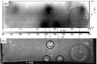 Fig.  1  Comparison  of  the  data  obtained  by  the  SVP  technique  (a)  and  optical  microscopy  (b)  at  the  surface  of  the  magnesium  MA8  alloy  [9].