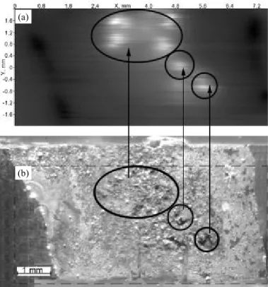 Fig.  2  Comparison  of  the  data  obtained  by  SVP  technique  (a)  and  optical  microscopy  (b)  at  the  surface  of  the  magnesium  VMD10  alloy  [9].