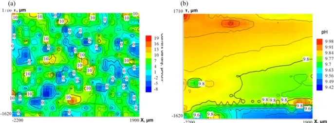 Fig.  3  SVET  (a)  and  SIET  (b)  mapping  on  the  area  of  the  initial  PEO-coating  on  the  Mg  MA8  alloy  sample.