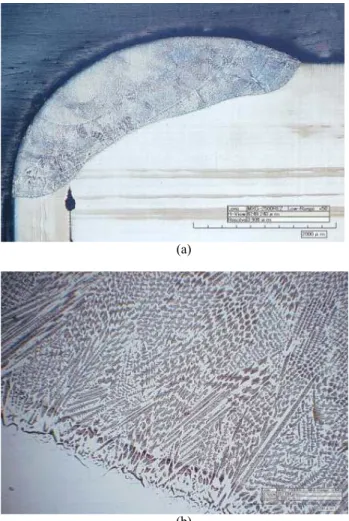 Fig.  3  Corrosion  propagation  path  during  pitting  corrosion  test  of  autogenous  GTAW  welded  mock-up  specimen;  (a)  SEM-BSE  mode  on  corroded  pit,  and  (b)  SEM-BSE  mode  on  corroded  dendrite.