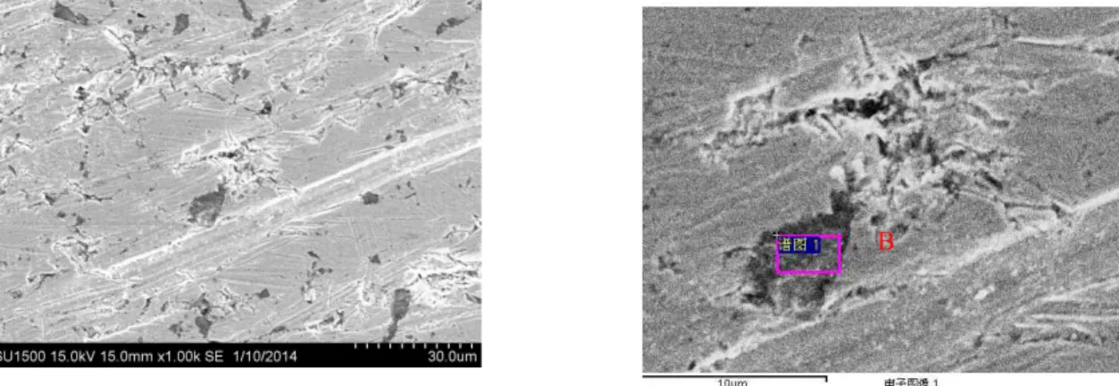 Fig.  5  XRD  pattern  of  T91  steel  after  6  h  immersed  under  different  water  chemistry  condition  containing  10  mg/L  Na 2 SO 4  +  10  mg/L  NaCl:  (a)  AVT;  (b)  OT.