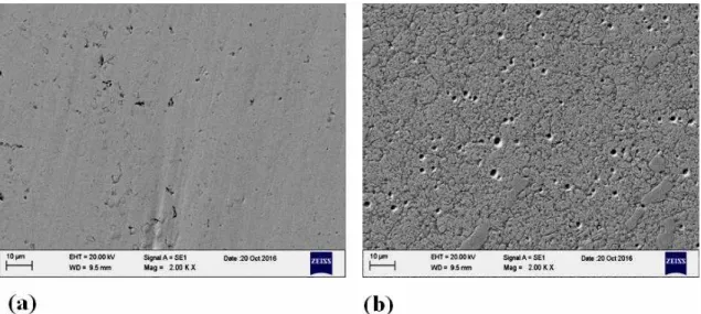 Fig.  9.  3D  optical  profilometer  images  of  NMSS-T  (a)  and  MSS-T  (b)  showing  the  pit  depth  and  pit  density.