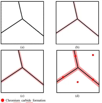 Fig.  14.  Intergranular  corrosion  model  by  aging  time  of  316L  stainless  steel  at  sensitization  temperature  range:  (a)  0  h-aged,  (b)  1  h-aged,  (c)  5  h-aged,  and  (d)  48  h-aged.