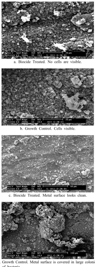 Fig.  7.  SEM  micrograph  of  alloy  N-80  after  exposure  to  SRB  media.