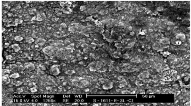 Fig.  8.  SEM  micrograph  of  alloy  L-80  after  exposure  to  SRB  media.