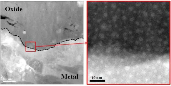 Fig.  13.  STEM  dark-field  image  showing  typical  TEM  beam  damage  by  high  voltage  TEM  operation  at  the  metal/oxide  interface  valley  region  in  50-day  corroded  sample.