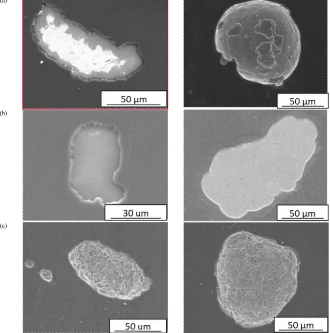 Fig.  8.  SEM  images  of  DLC-coated  specimens,  (a)  316SS,  (b)  titanium,  and  (c)  brass  after  polarization  test  in  air-exposed  3.5  wt%  NaCl  aqueous  solution  under  static  (left)  and  hydrodynamic  condition  (right)