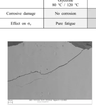Table  3.  Types  of  damage  observed  in  CF-tests  depending  ontesting  conditions Glycerine 80  °C  /  120  °C 13.2  wt-%  NaCl,  pH  8, 80  °C,  R=−1 43  wt-%  CaCl 2 120  °C,  R=0.05