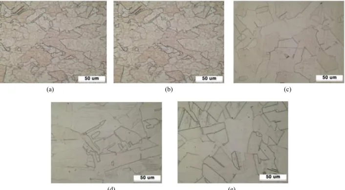 Fig.  5.  Optical  microstructure  of  cross  section  of  ASME  SA312  TP304  stainless  steel  bent  pipe  (etchant:  90  ml  HCl  +  30  ml  HNO 3