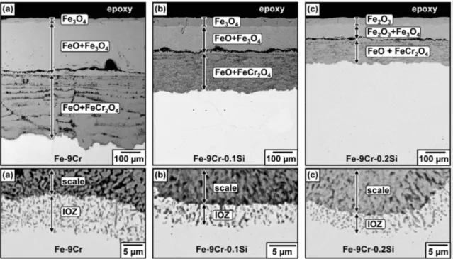 Fig.  2.  BSE-SEM  images  of  oxide  scales  and  internal  oxidation  zones  after  reaction  for  70  h  of  (a)  Fe-9Cr,  (b)  Fe-9Cr-0.1Si,  and  (c)  Fe-9Cr-0.2Si.