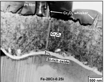 Fig.  7.  Bright  field  TEM  image  of  Fe-20Cr-0.2Si  after  reaction  for  240  h.