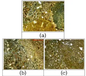 Fig.  7.  Morphologies  of  corroded  surfaces  in  each  welding  zone  after  measurement  of  anodic  polarization  curves,(a):BM,  (b):HAZ,    (c):WM,  (x200).
