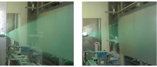 Fig.  8.  Atomized  spray  pattern:  (a)  The  fully  developed  pattern,  (b)  The  finger  pattern  caused  by  extension  of  nozzle  area.
